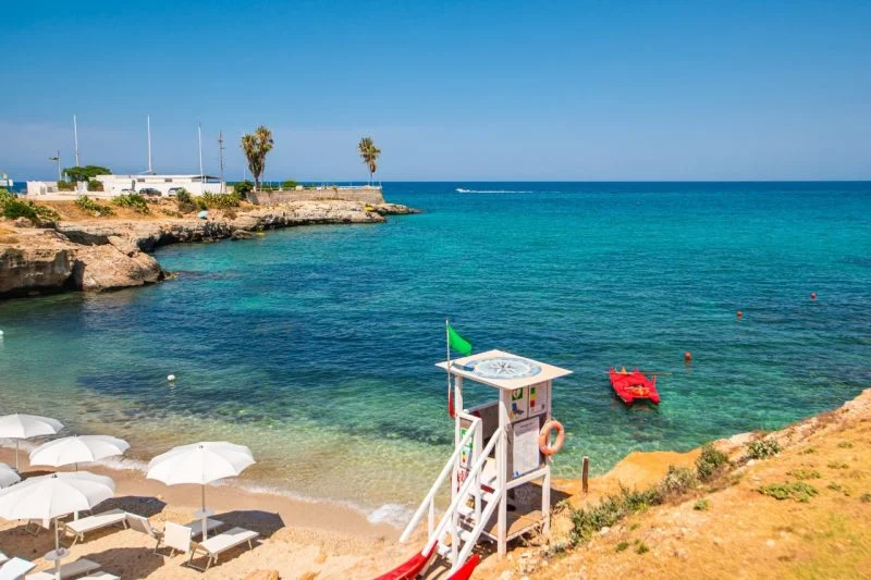 GALLERY-POG-4-800x533